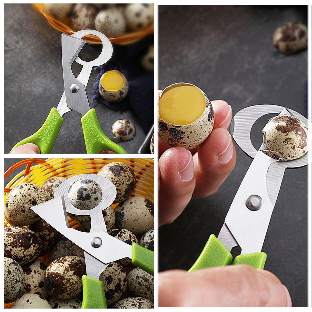 Duif Kwartel Open Crack Kleine - Egg Separator Tool recensie en prijs